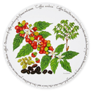 Coffee Tablemat