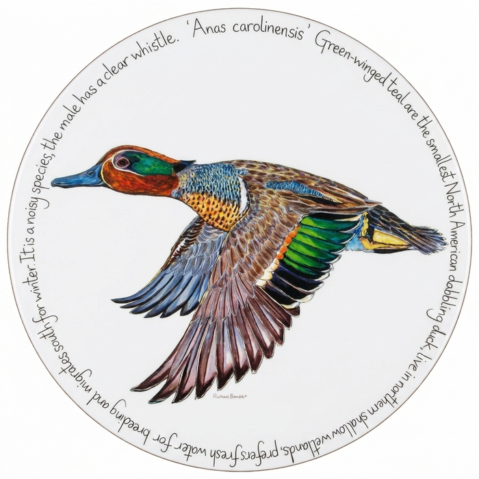 Green Winged Teal Tablemat