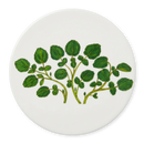 Watercress Coaster