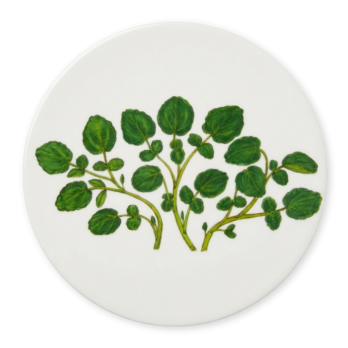 Watercress Coaster