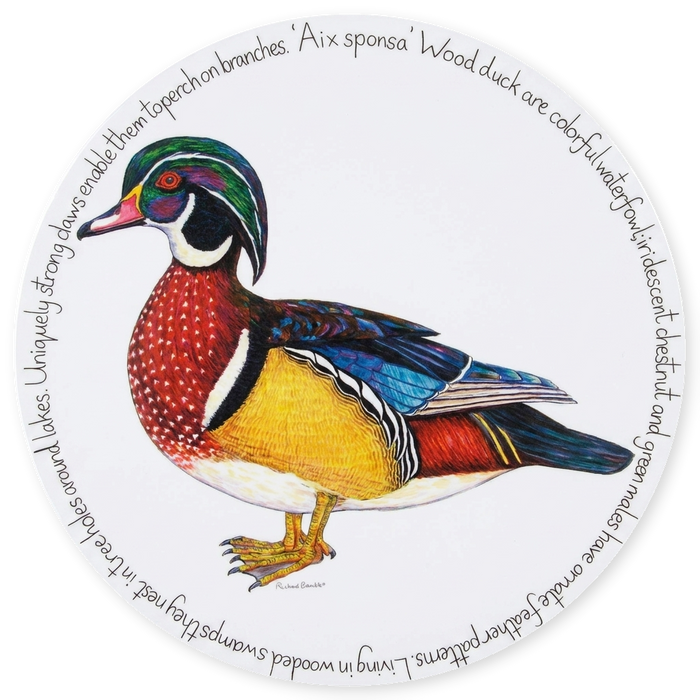 Wood Duck Tablemat