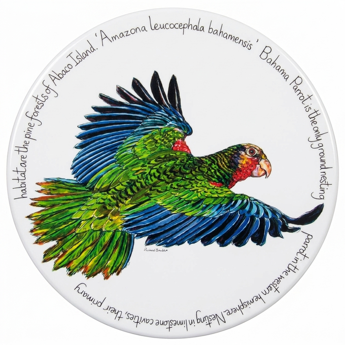 Bahama Parrot Tablemat