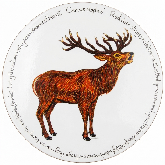 Stag Roaring Tablemat