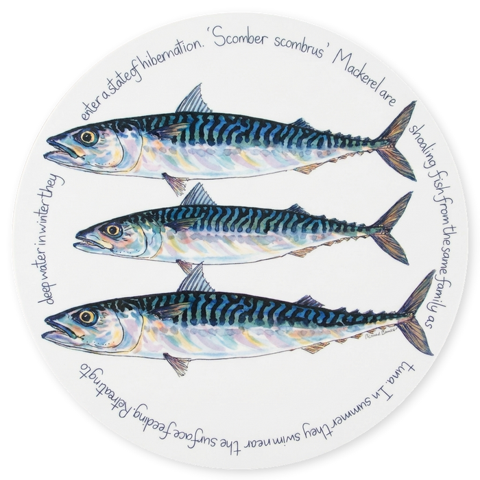 Mackerel Tablemat