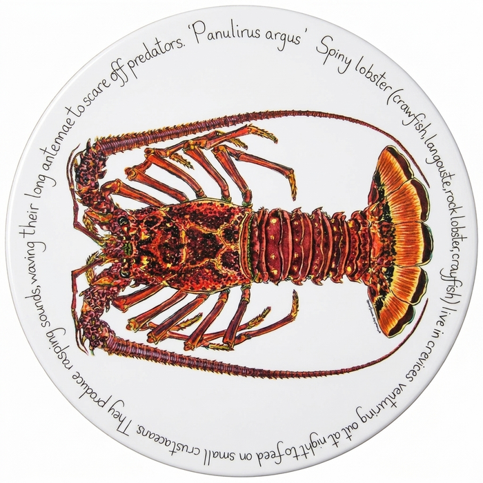 Spiny Lobster Tablemat