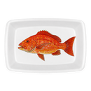 Red Snapper Large Roaster & Baking Dish