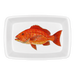 Red Snapper Large Roaster & Baking Dish