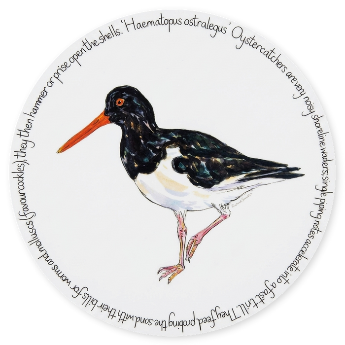 Oystercatcher Standing Tablemat