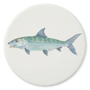 Bonefish Coaster
