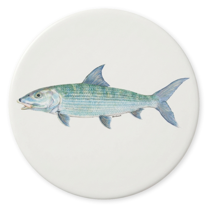 Bonefish Coaster