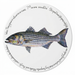Striped Bass Tablemat