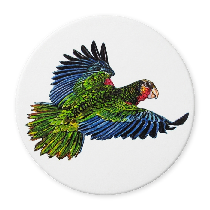 Richard Bramble Parrot coaster