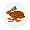 Hare Running Coaster