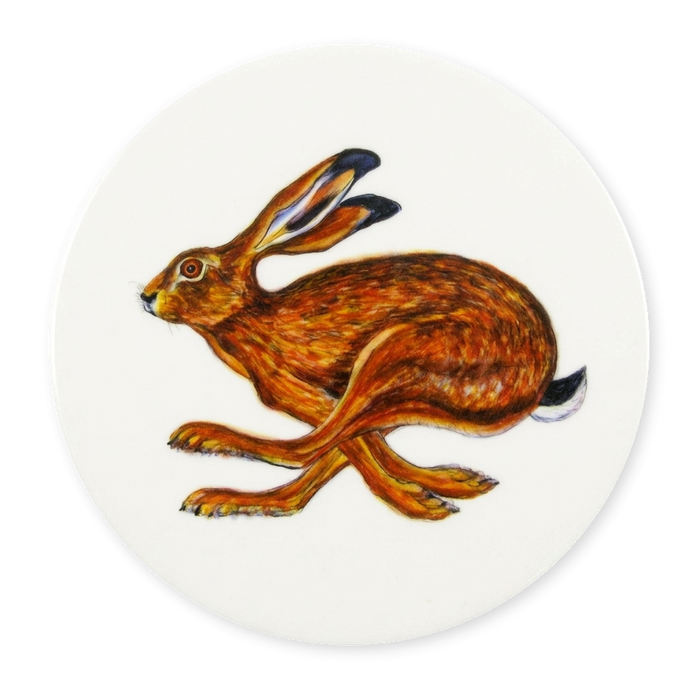 Hare Running Coaster