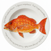 Red Snapper 30cm Deep Rimmed Plate