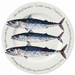Mackerel 30cm Flat Rimmed Plate