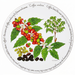 Coffee Tablemat