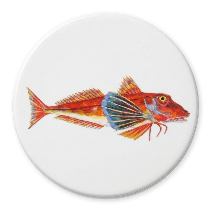 Gurnard Coaster