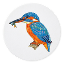 Kingfisher Coaster