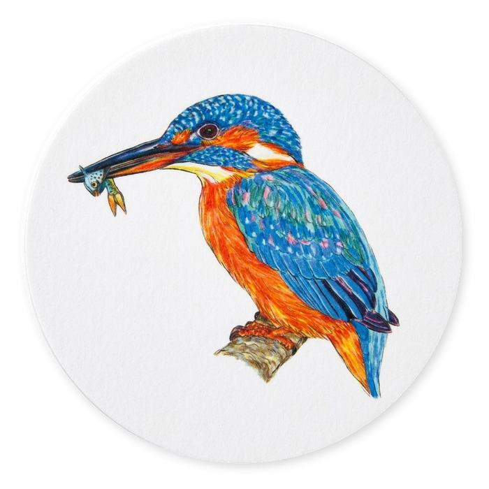 Kingfisher Coaster