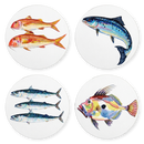 Sea fish 4 coaster gift selection