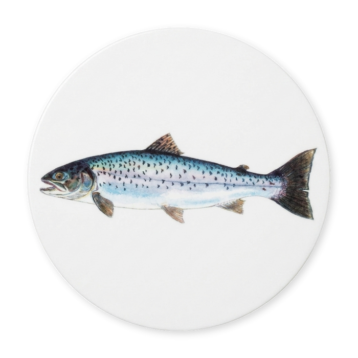 Sea Trout Coaster