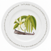 Vanilla 30cm Flat Rimmed Plate