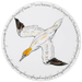 Gannet Diving tablemat