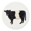 Belted Galloway Cow Coaster