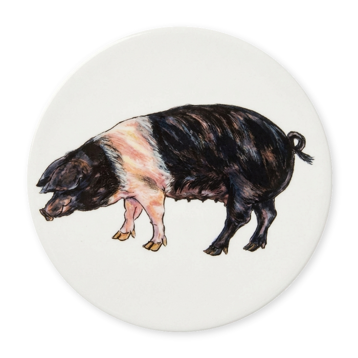 Richard Bramble | Saddleback Pig Coaster