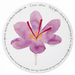 Saffron Tablemat