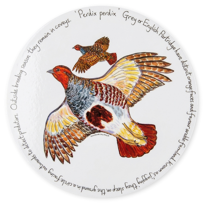 Grey Partridge Tablemat
