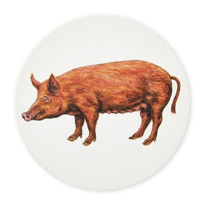Richard Bramble Tamworth Pig Coaster