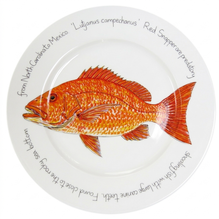 Red Snapper 30cm Flat Rimmed Plate (offer size)