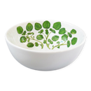 Watercress 16cm Bowl