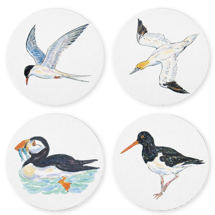 Seabirds 4 coaster gift selection
