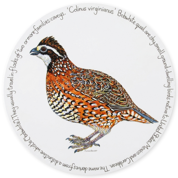 Bobwhite Quail Tablemat