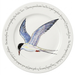 Tern 30cm Flat Rimmed Plate