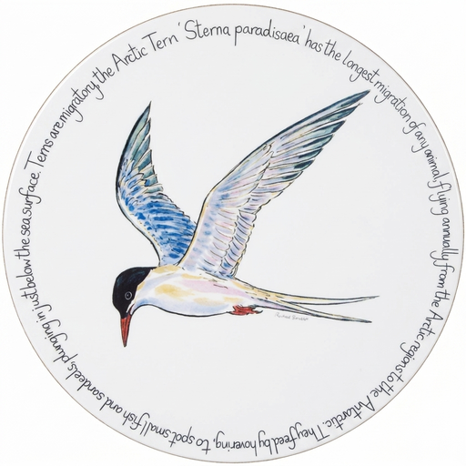 Tern Tablemat
