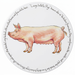 Large White Pig Tablemat