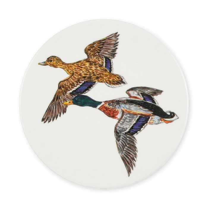 Mallard Ducks Coaster