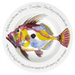 John Dory 30cm Deep Rimmed Plate