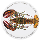 North American Lobster Tablemat