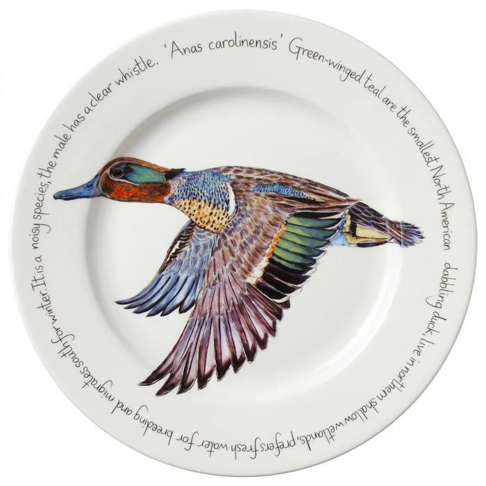 Green-winged Teal 30cm Flat Rimmed Plate