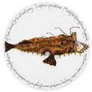 Monkfish Tablemat