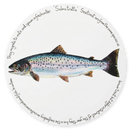 Sea Trout Tablemat