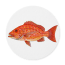 Richard Bramble Red Snapper Coaster