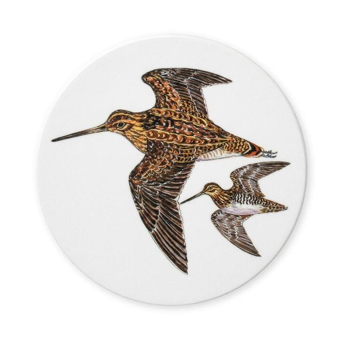 Richard Bramble Snipe Coaster
