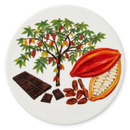 Chocolate Coaster