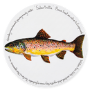 Brown Trout Tablemat